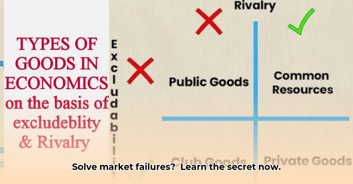 excludability-economics